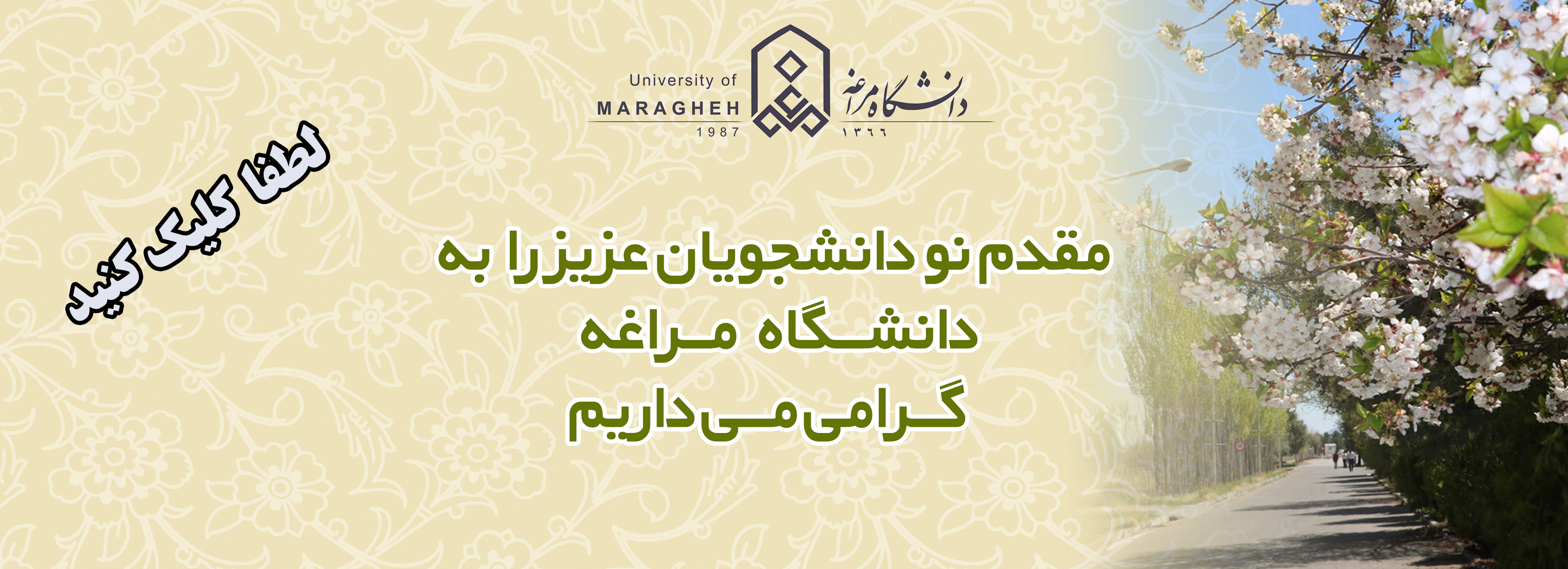 Responsive Image